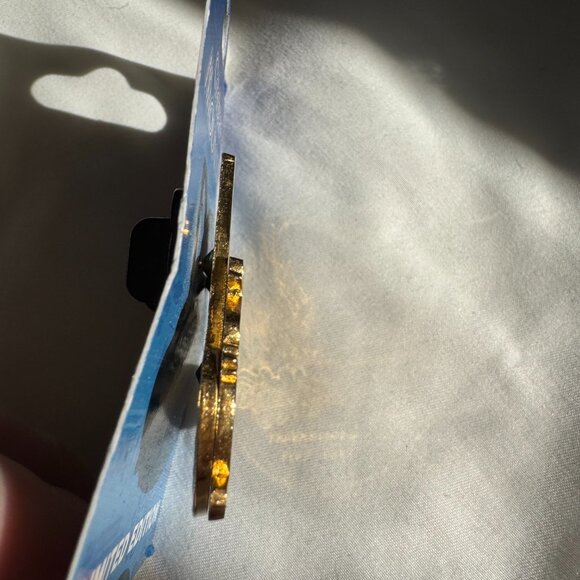 NWT Disneyland Celebrate the Mountains Splash Mountain Brer Rabbit Brer Frog Pin - Picture 13 of 15